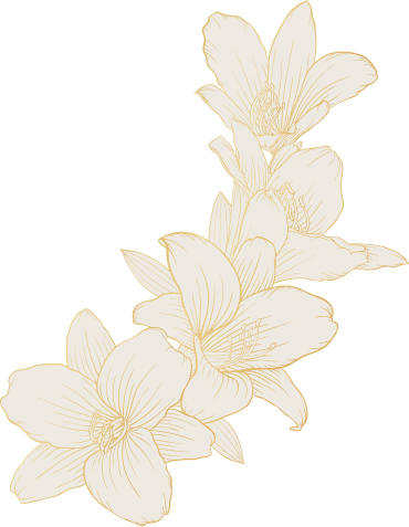 icon deco